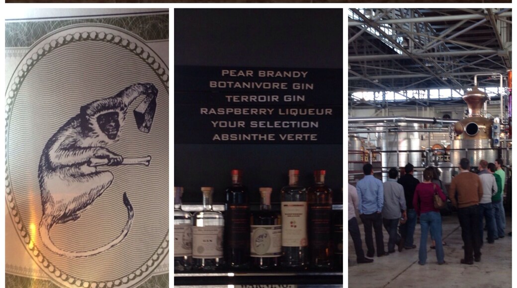 Used to be Hanger One vodka, now St George. Great place to taste gins, brandys, and oh ya, absinthe. Great view of San Francisco & the Golden Gate Bridge from here. Wine & beer tastings just down the road. The monkey logo says "more cowbells". A great way to end my long weekend of celebrating my Big Six-0!