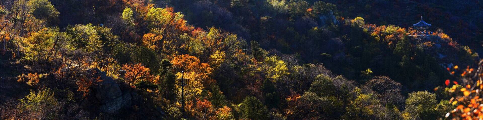 Un paisaje montañoso con follaje otoñal y un pabellón tradicional.