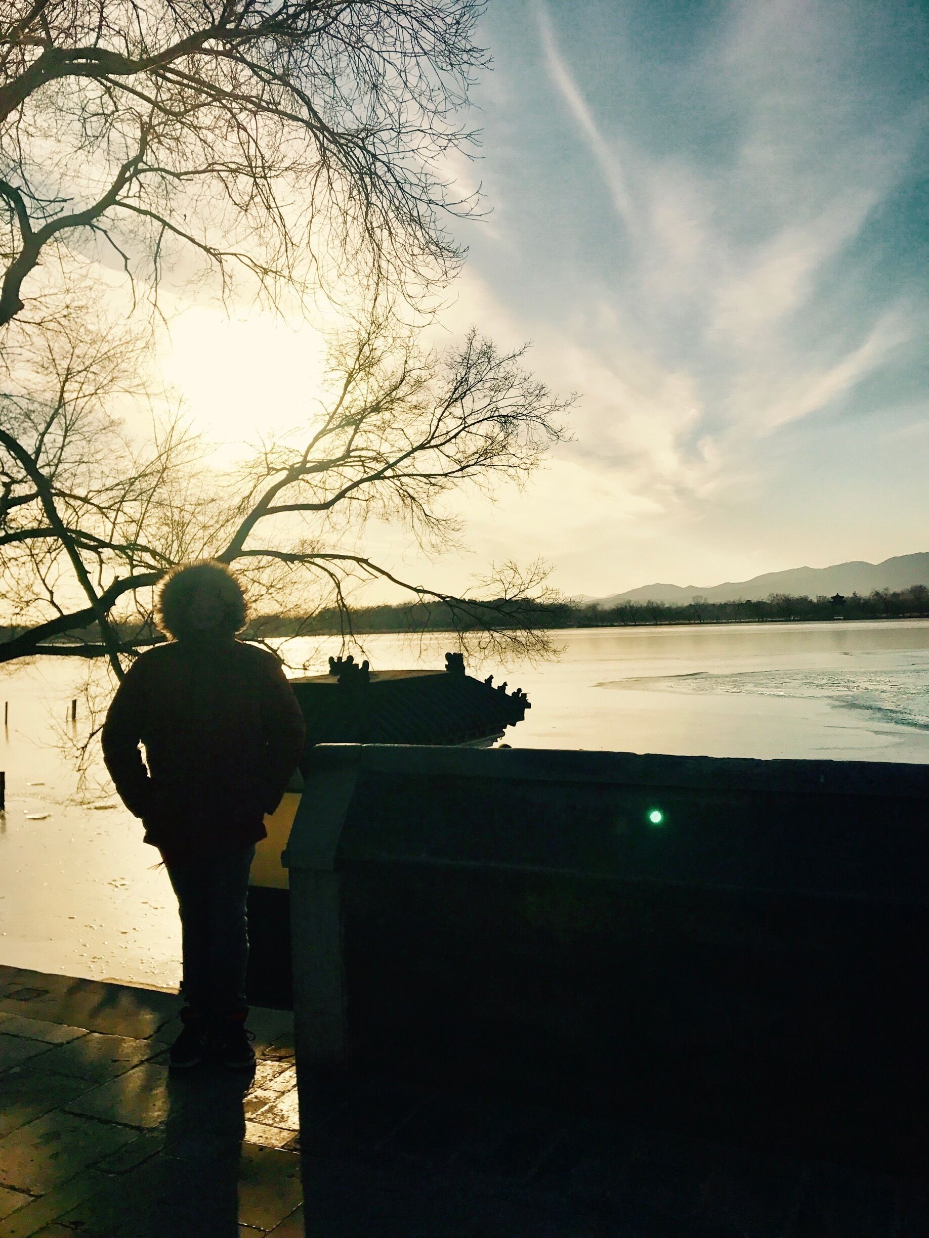 Summer Palace view in winter
