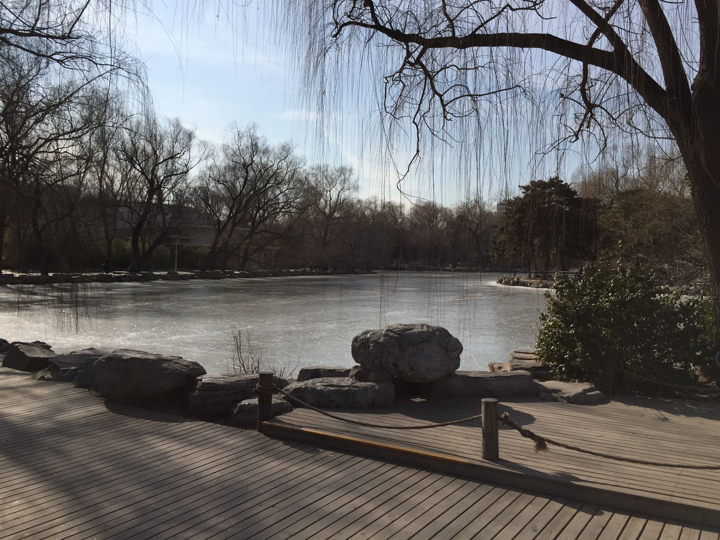 Even in the winter, the park is beautiful. 