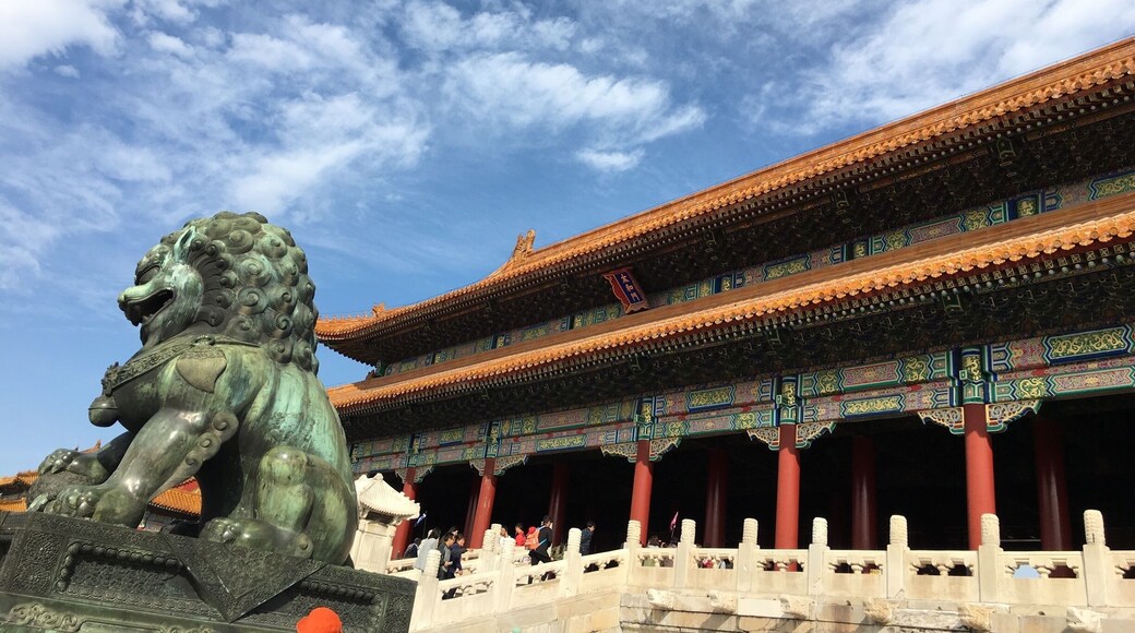 Forbidden City
Over the centuries, millions of intelligent scholars and warriors dreamed to enter and became part of the crew of the emperor.
Young, beautiful and knowledgeable women dreamed to enter and become the concubines of the emperor.
Once they are in, they are in forever and ever.
Lots of tales sharing that very often a concubine will envy a bird.
In their eyes, a bird can fly in and fly out while they can never leave the forbidden city.
Nothing changed. Forbidden city is still a place that everyone wants to enter.
Luckily, we can now leave and go as we wish. 🙂
#chinese #chineseheritage #chineseculture #wehavefreedomnow #emperor