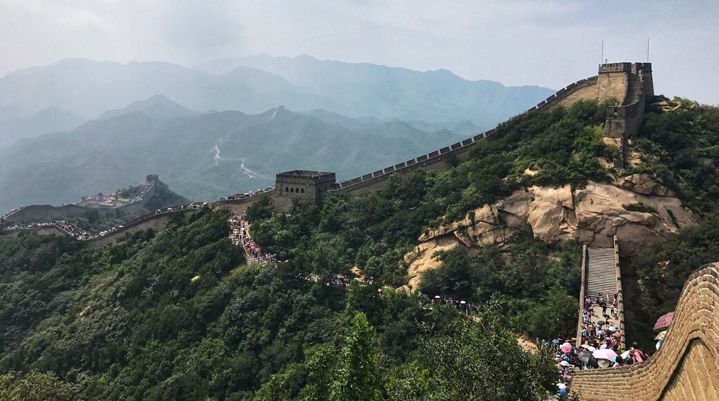 Solid walls
21/08/2017