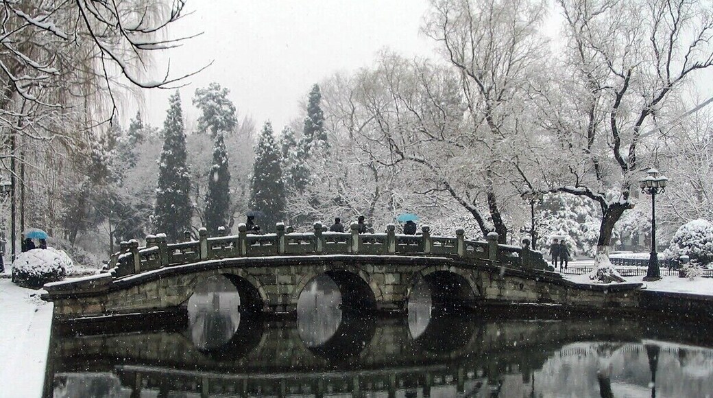 Peking University (as it's still referred to in English) has beautiful grounds, even in winter. #snow