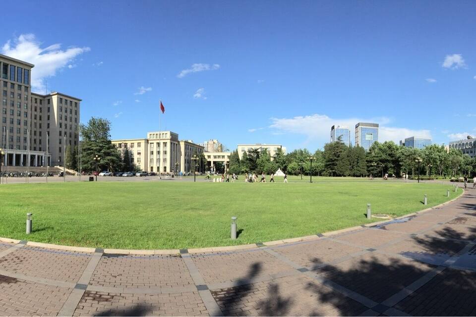 Ein Park mit einer grünen Wiese, gepflasterten Wegen und modernen Gebäuden im Hintergrund.