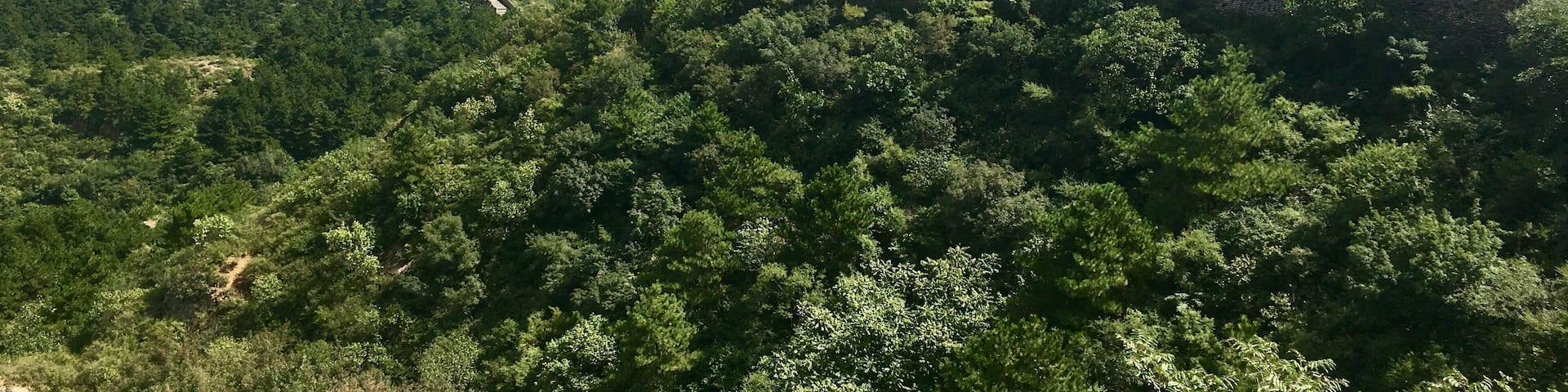 One of the best trips .... Great Wall of China - hiking the less crowded side of the wall with breathtaking views and serenity