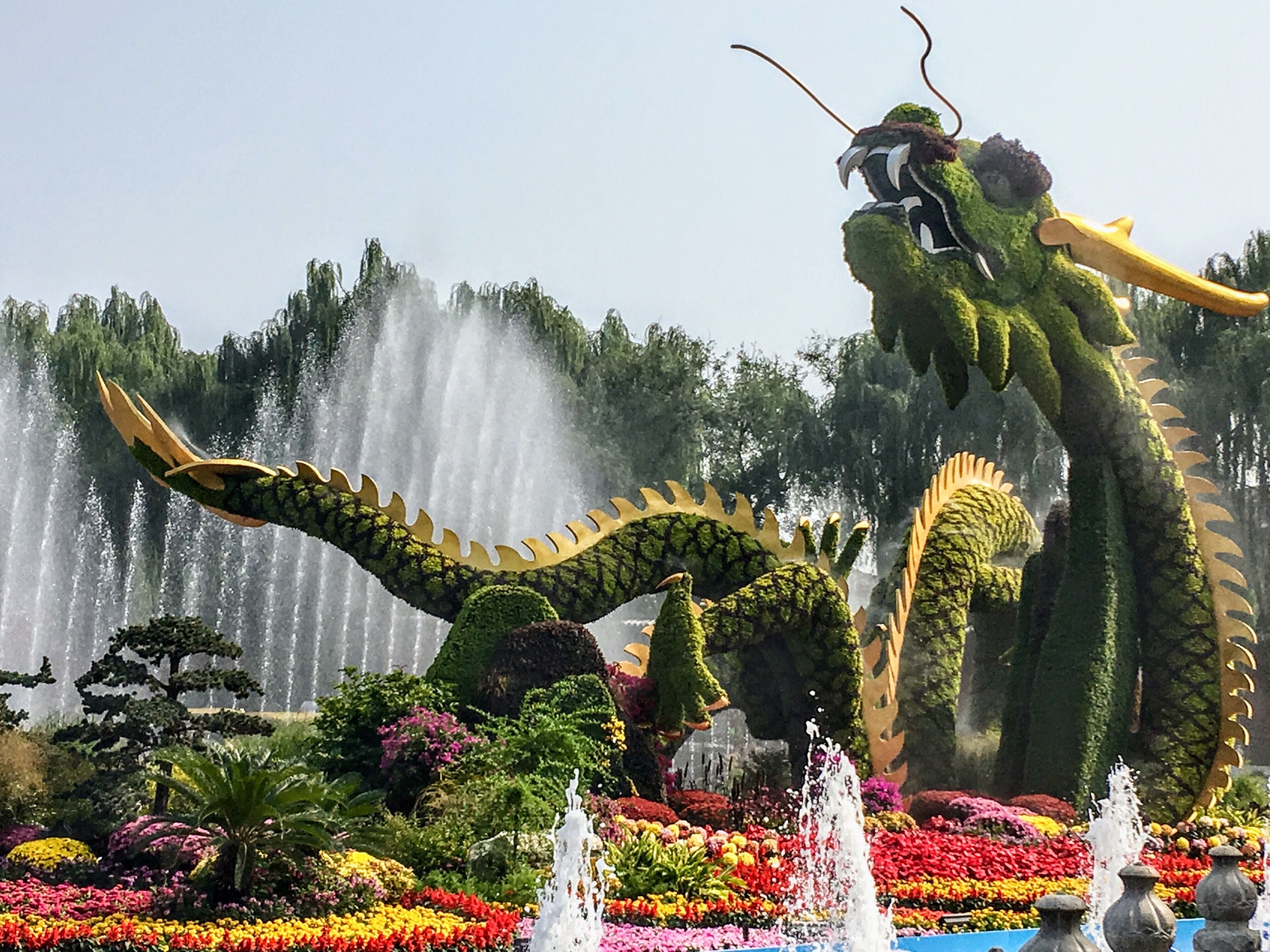 After coming down from the white Pagoda this dragon was displayed in the fountain.