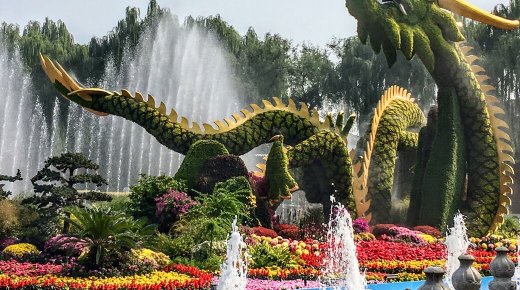 After coming down from the white Pagoda this dragon was displayed in the fountain.