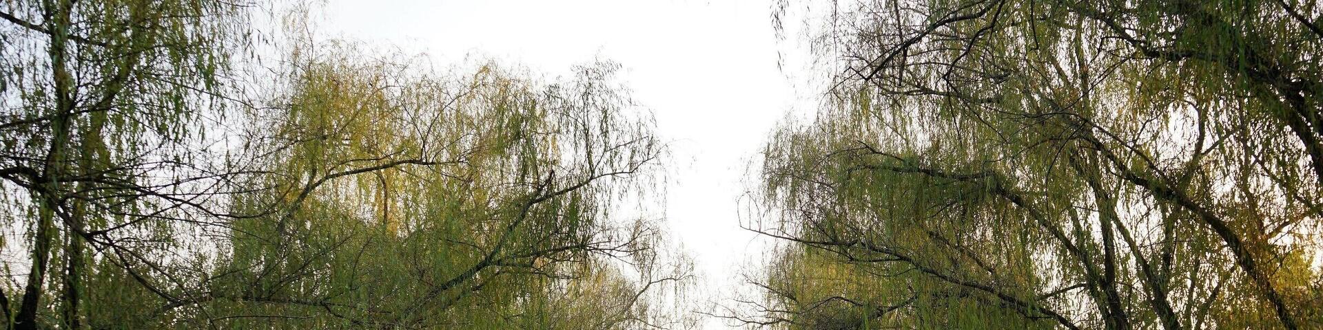 Sacred Way at the Ming Tombs