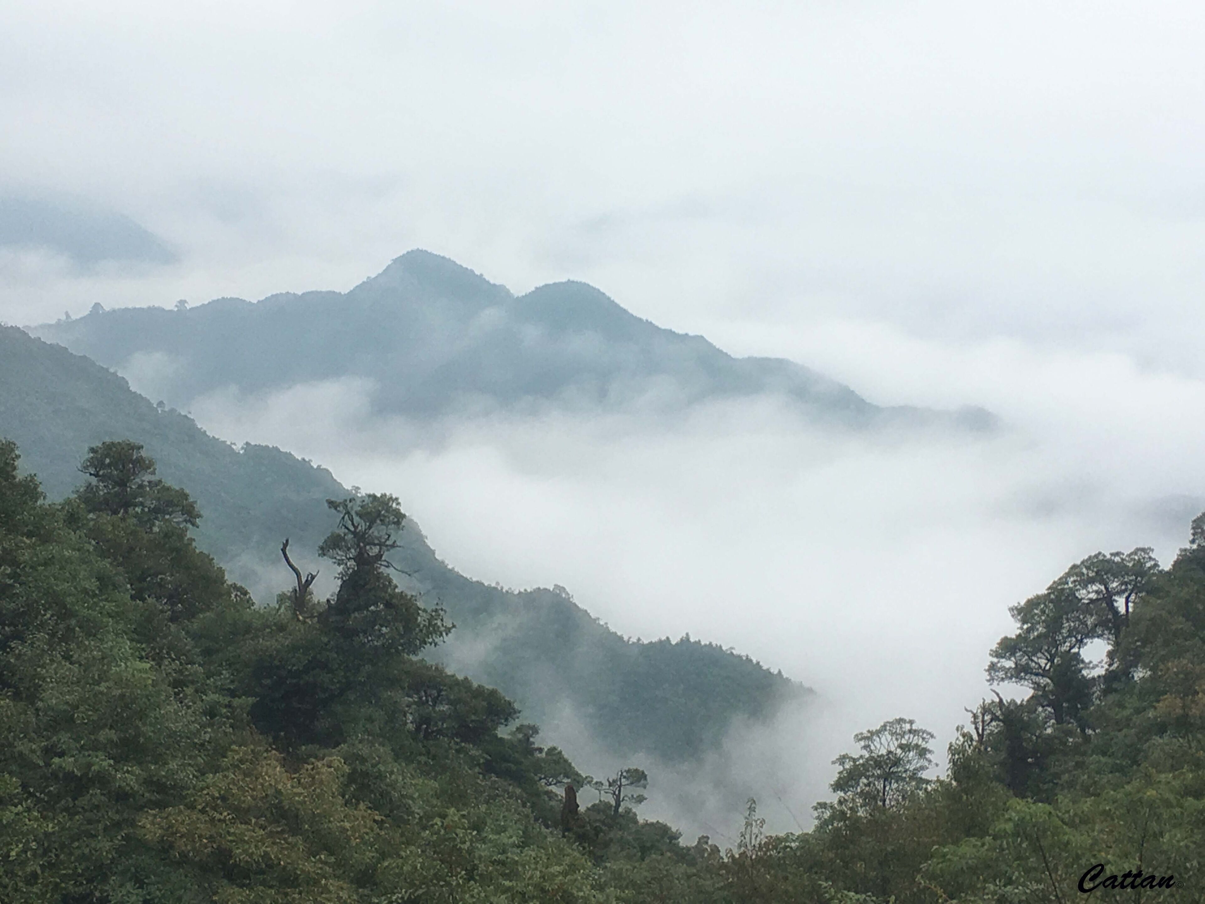 Mangshan national park 莽山国家森林公园、湖南 - 3 days hiking trip and we are lucky to see the 云海 before the mountains are totally covered in fog #nationalpark #travel #fog #nature #landscape #hiking #china #greatoutdoors