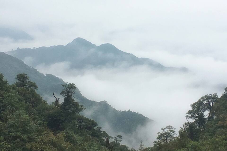 A mountainous landscape with dense forests and mist-covered peaks.