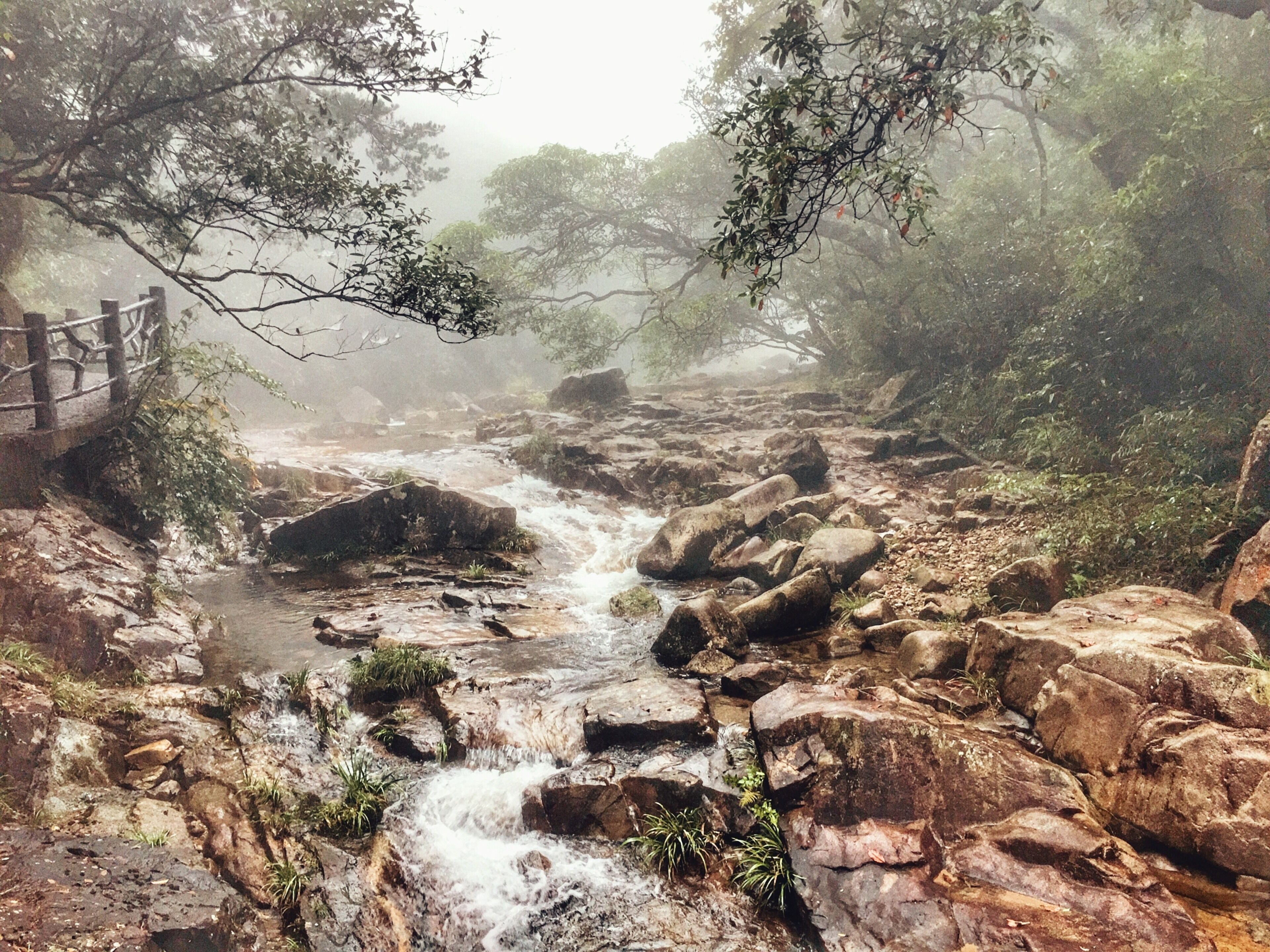 Mangshan national park 莽山国家森林公园、湖南 - what an amazing 2 day hike in this awesome National Park #hiking #china #travel #red #nationalpark
