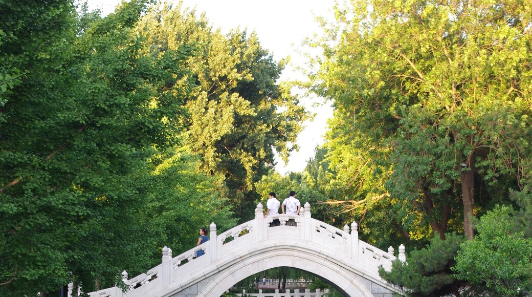 Small relaxing park very in the heart of a busy city, very close to Forbidden City.