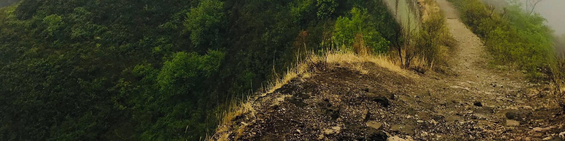 Walking the Great Wall