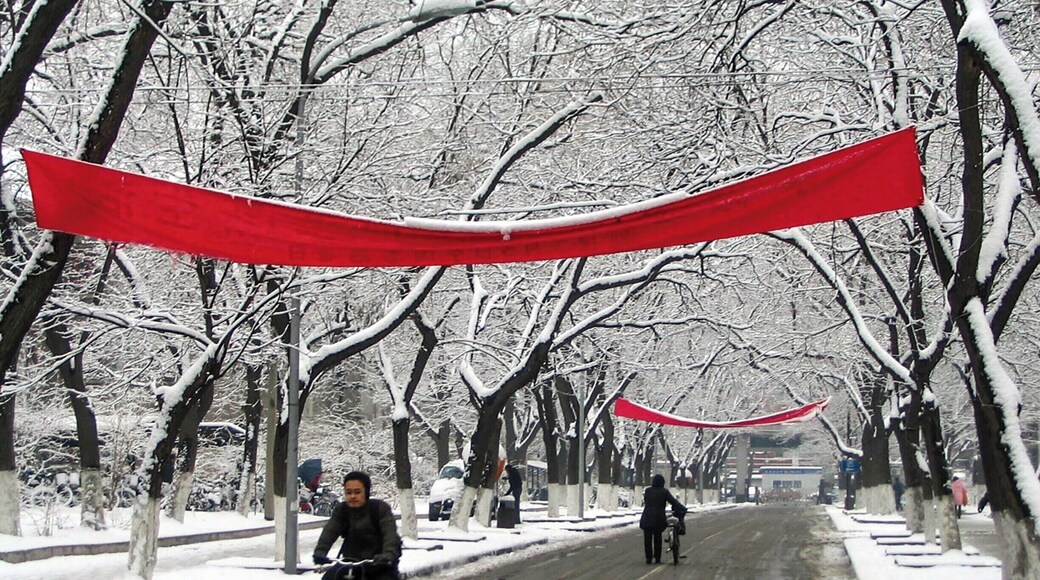 Peking University (as it's still referred to in English) has beautiful grounds, even in winter. #snow