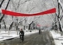 A snow-covered tree-lined street with red banners.