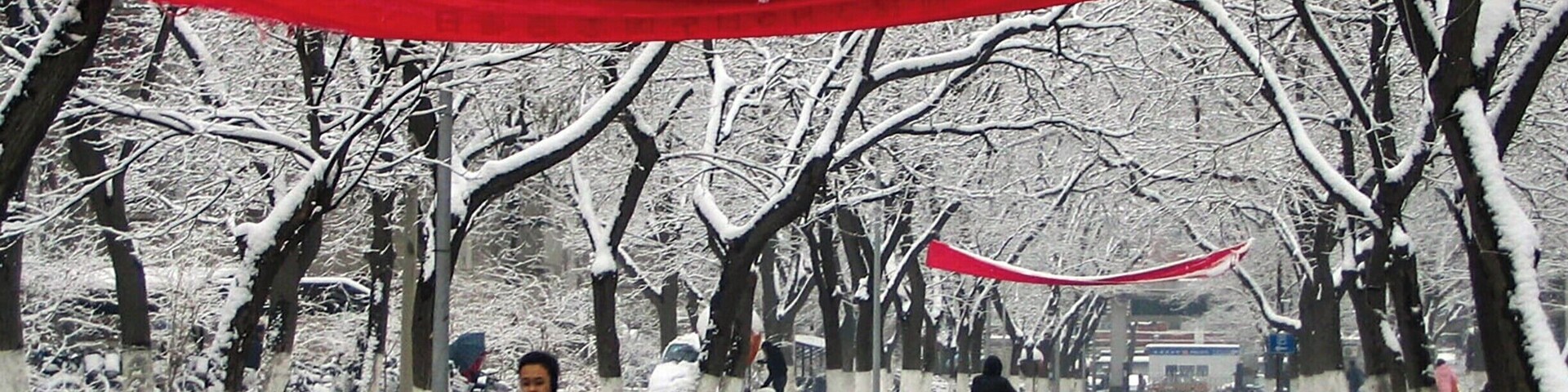 Peking University (as it's still referred to in English) has beautiful grounds, even in winter. #snow