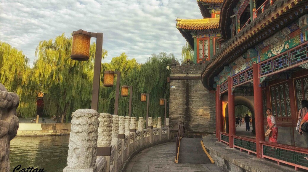 Beihai Park, Beijing, China #red #travel #perspectives #nationalpark #hiking #landscape #nature