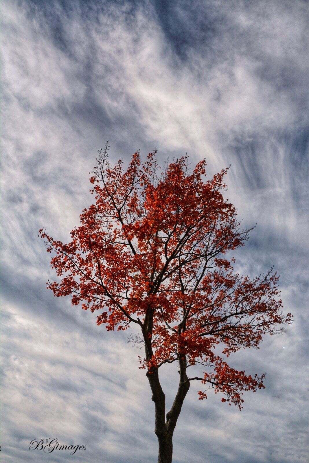 Fall hiking. #colorful #wanderlust #autumn #fall #explore #adventures #hiking #landscape #nature #NikonD7100 