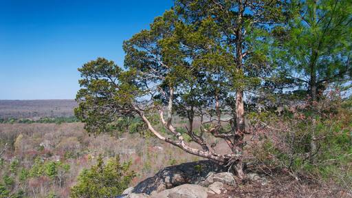 horse guard state park avon connecticut