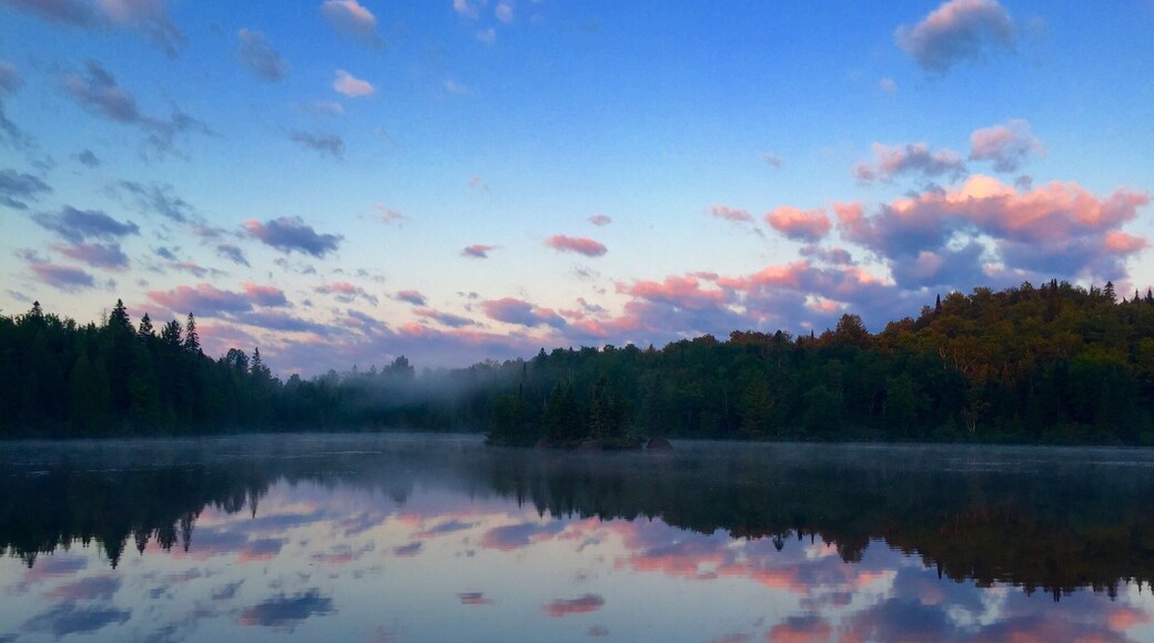 Early morning in Esterel