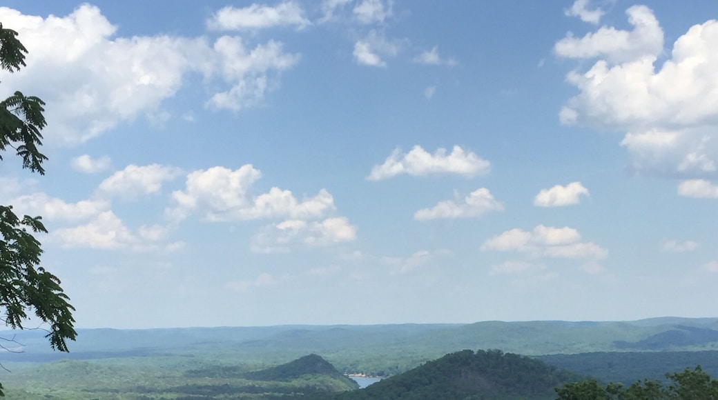 I love Morrow Mountain State Park near the Uwharrie National Forest in NC. The park has great camping, canoeing, and hiking.
