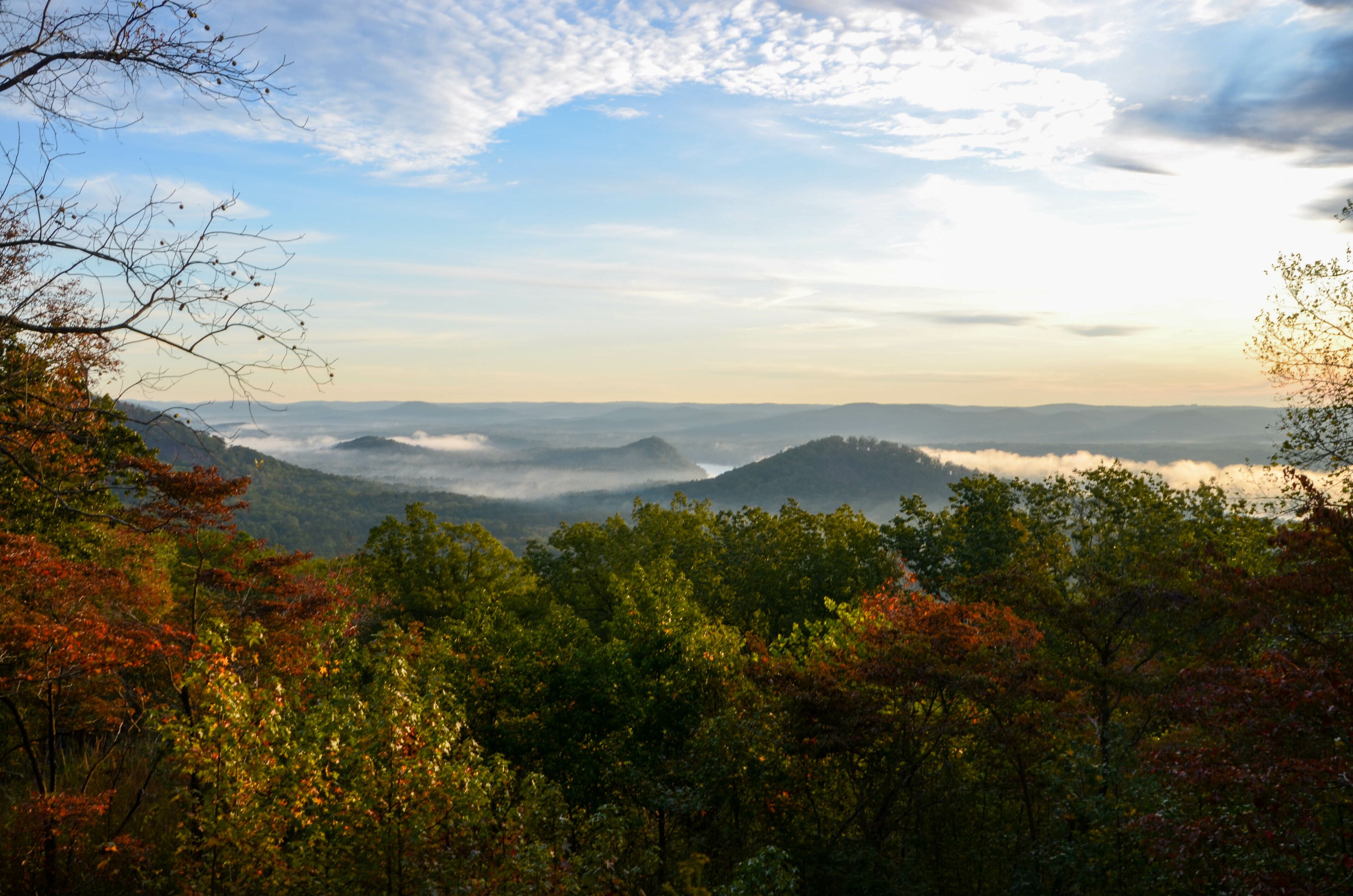 View of the fog covered valley below. Taken from the top of Morrow Mountain State Part NC