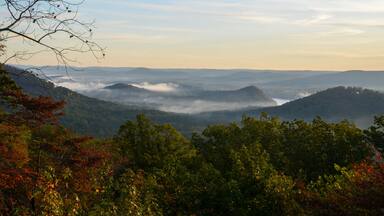 View of the fog covered valley below. Taken from the top of Morrow Mountain State Part NC
