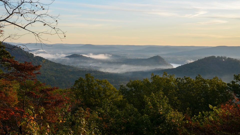 A mountainous landscape with dense forests and mist-covered valleys.