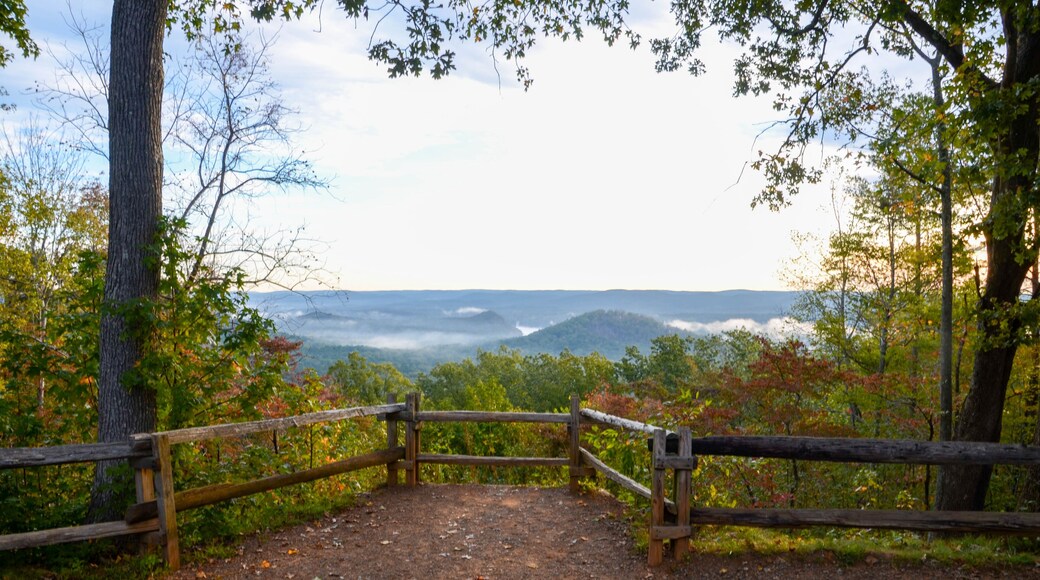 View of the fog covered valley below. Taken from the top of Morrow Mountain State Part NC