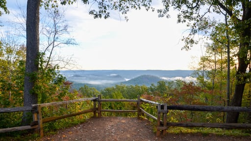 View of the fog covered valley below. Taken from the top of Morrow Mountain State Part NC