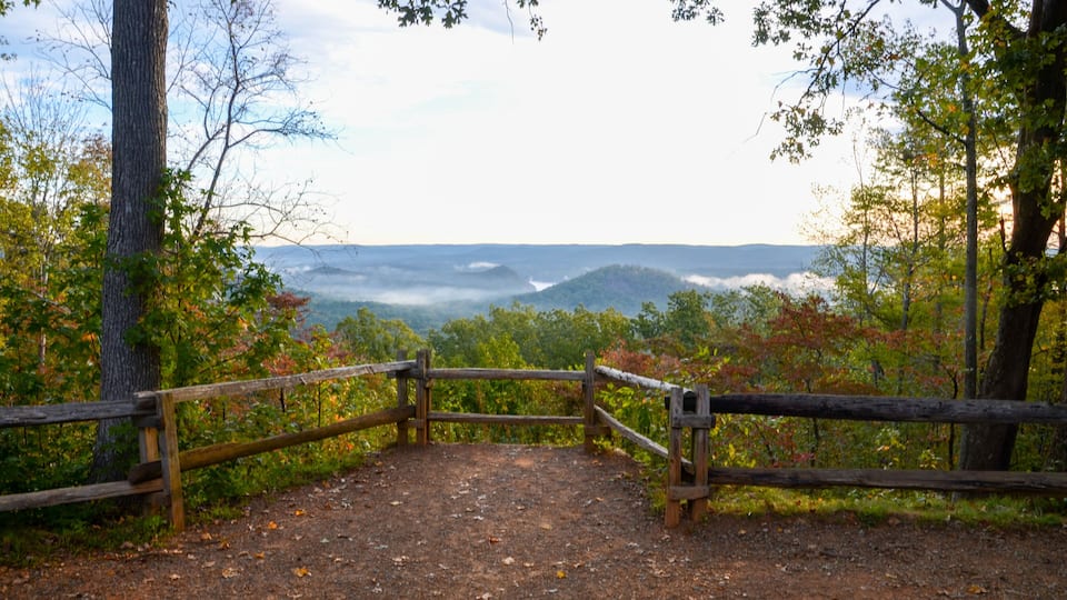 A wooden gate leading to a forested area with a view of rolling hills and a misty valley.