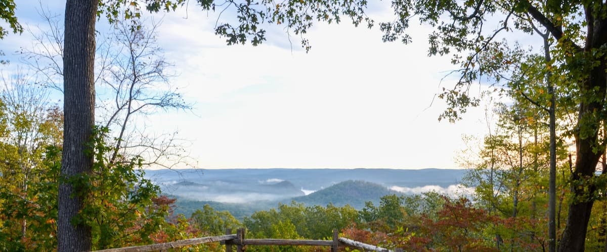 A wooden gate leading to a forested area with a view of rolling hills and a misty valley.