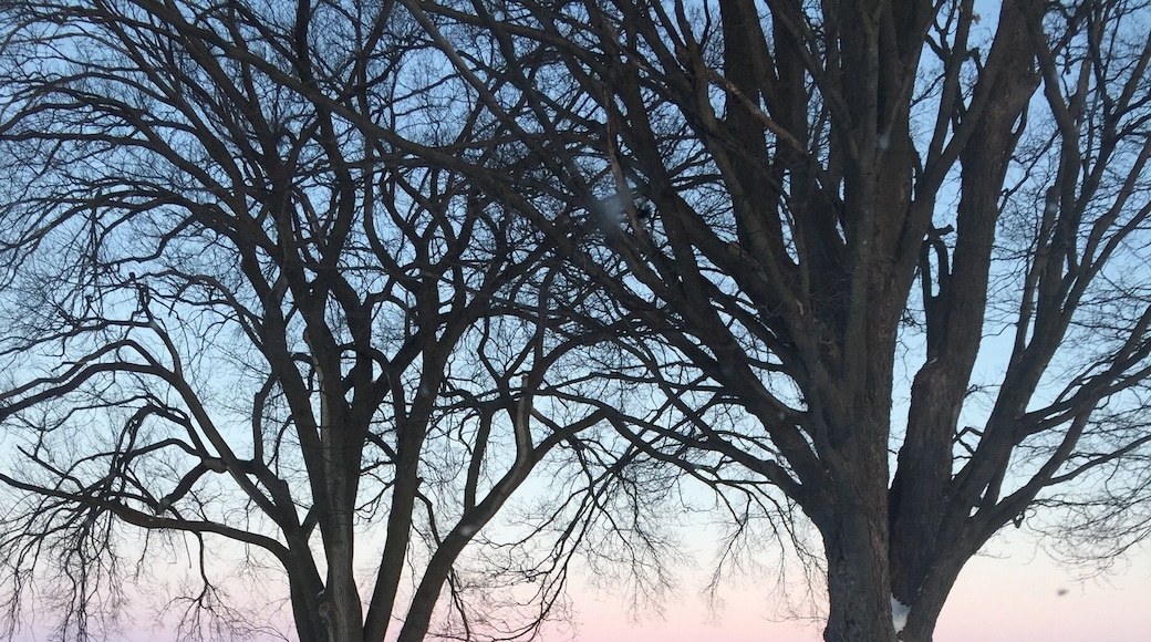 Just between Ripon and Green Lake, Wi