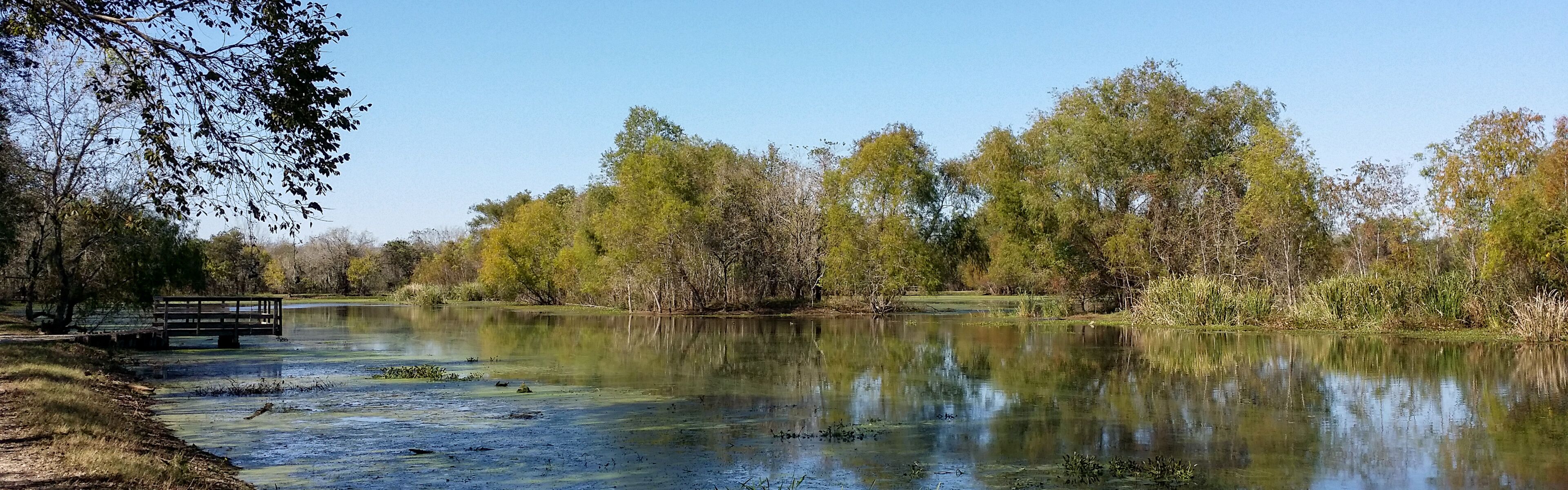 Brazos Bend State Park, Texas