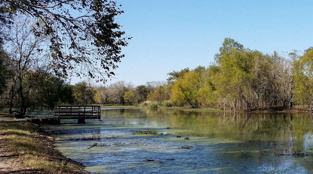 Brazos Bend State Park, Texas