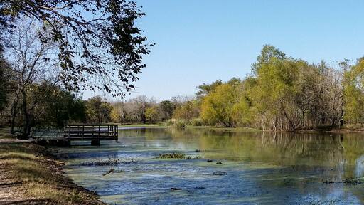 Brazos Bend State Park, Texas