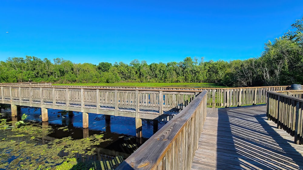 A wooden boardwalk over a water body with trees in the background.