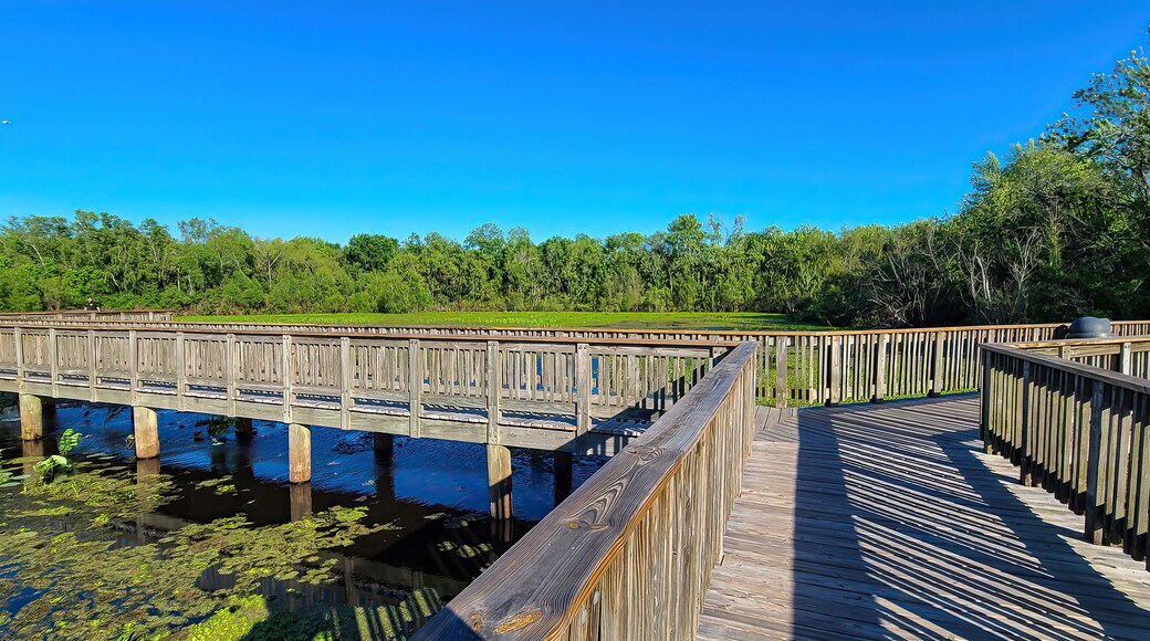Cullinan Park in Houston Texas