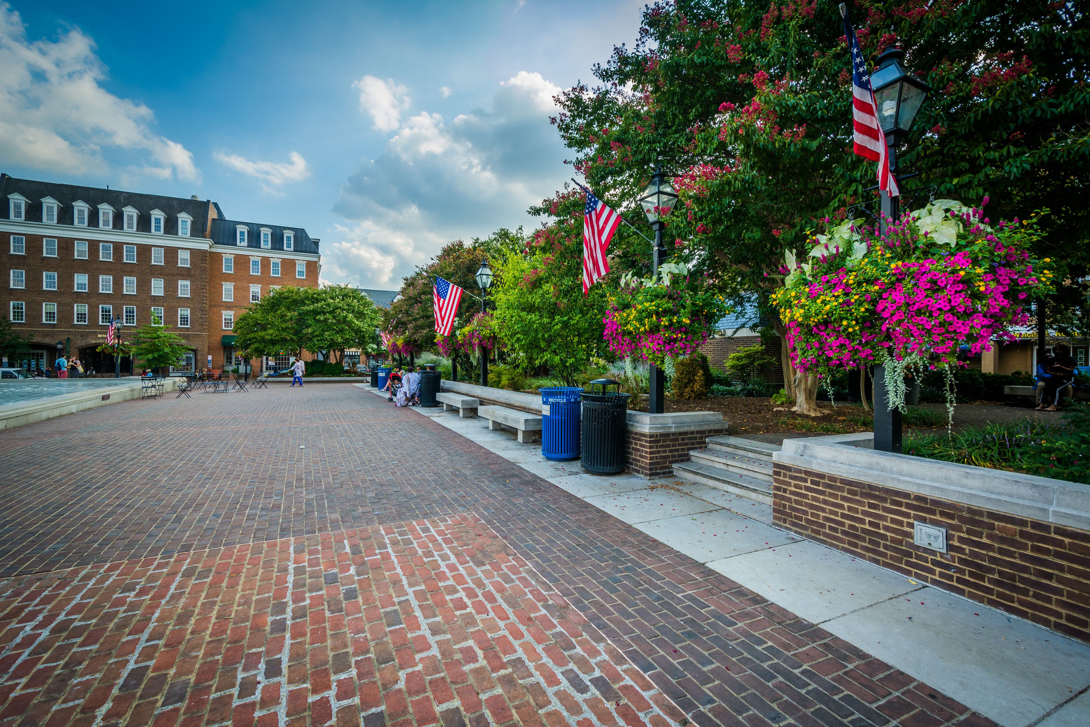 A paved plaza with brick flooring, American flags, and flowering plants.