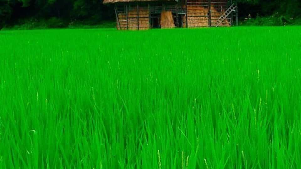 I love that to live💋