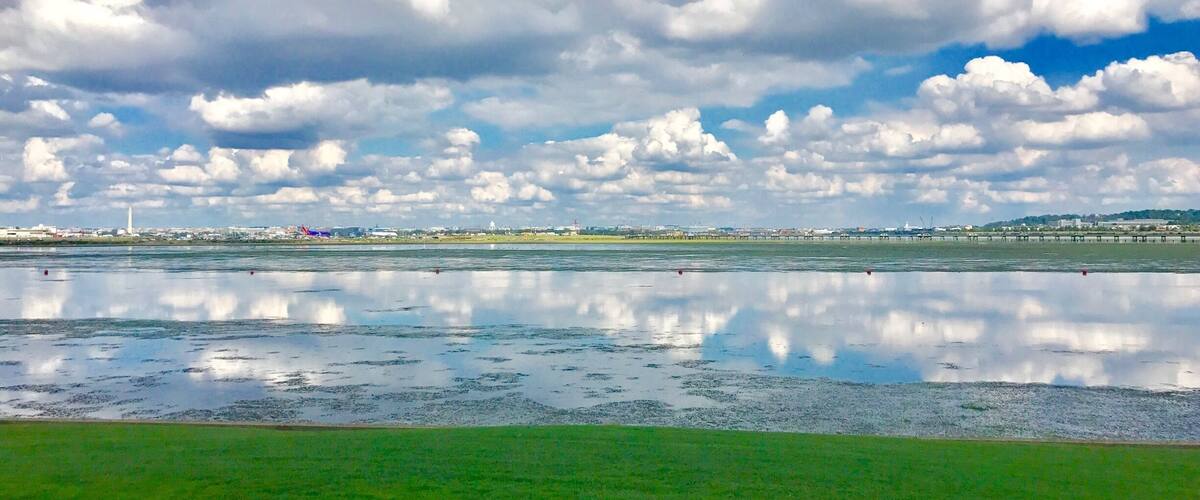 View from cute casual burger joint overlooking the Potomac river. They serve pitchers of craft beer.
