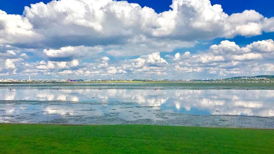 View from cute casual burger joint overlooking the Potomac river. They serve pitchers of craft beer.