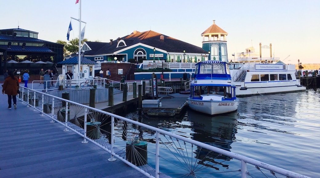 Comté de la ville d'Alexandria