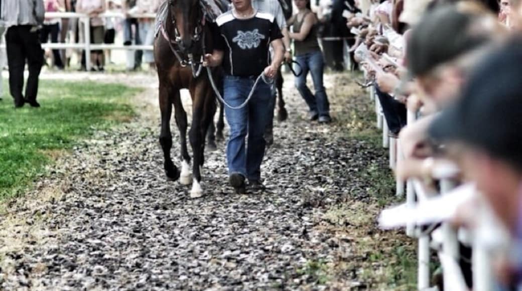 The former race course of the Duchy of Saxe-Coburg and Gotha is located right at the heart of Thuringia. With its fantastic view of the Thuringian Forest and the royal town of Gotha with Friedenstein Castle, the natural race course is a popular recreation area.
The magnificent Victorian-style grandstand has seen many great horse races and lends the course great charm. Boxberg is one of the longest flat race courses in Germany. #KidsFun