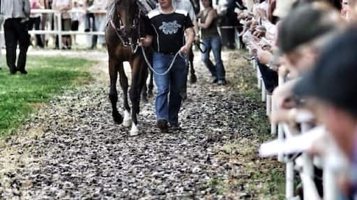 The former race course of the Duchy of Saxe-Coburg and Gotha is located right at the heart of Thuringia. With its fantastic view of the Thuringian Forest and the royal town of Gotha with Friedenstein Castle, the natural race course is a popular recreation area.
The magnificent Victorian-style grandstand has seen many great horse races and lends the course great charm. Boxberg is one of the longest flat race courses in Germany. #KidsFun