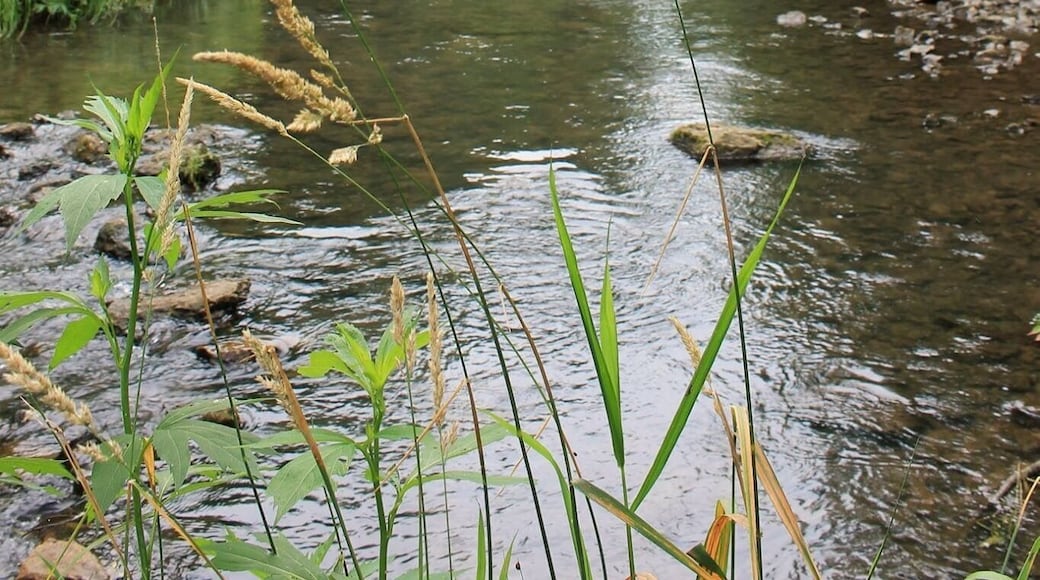 If your ever in River Falls, WI head over to Glen Park and check out the Falls.