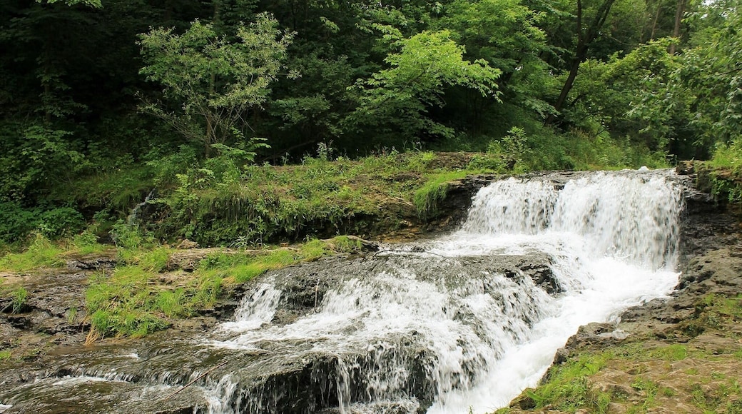 The Falls of River Falls
