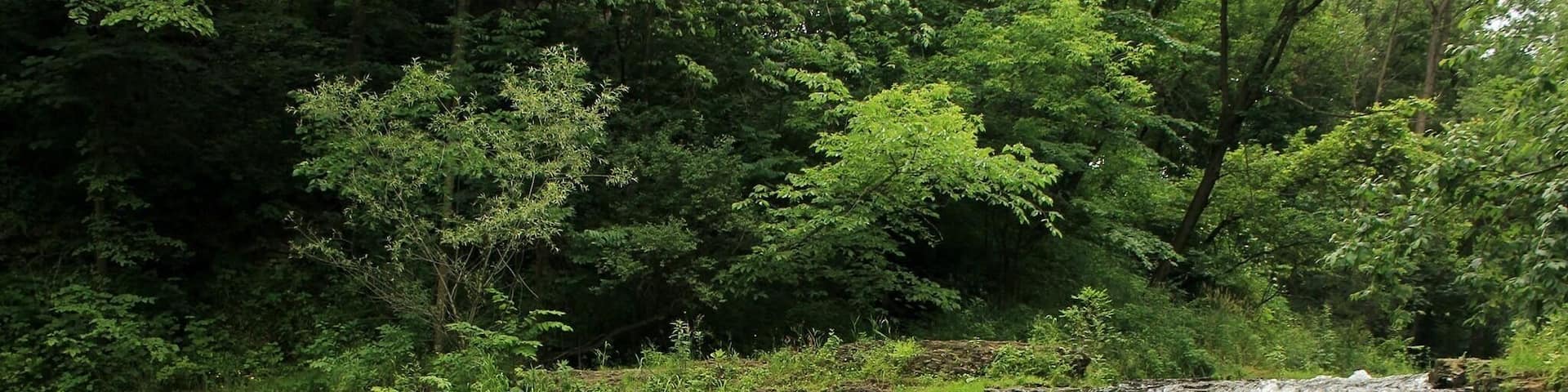 The Falls of River Falls