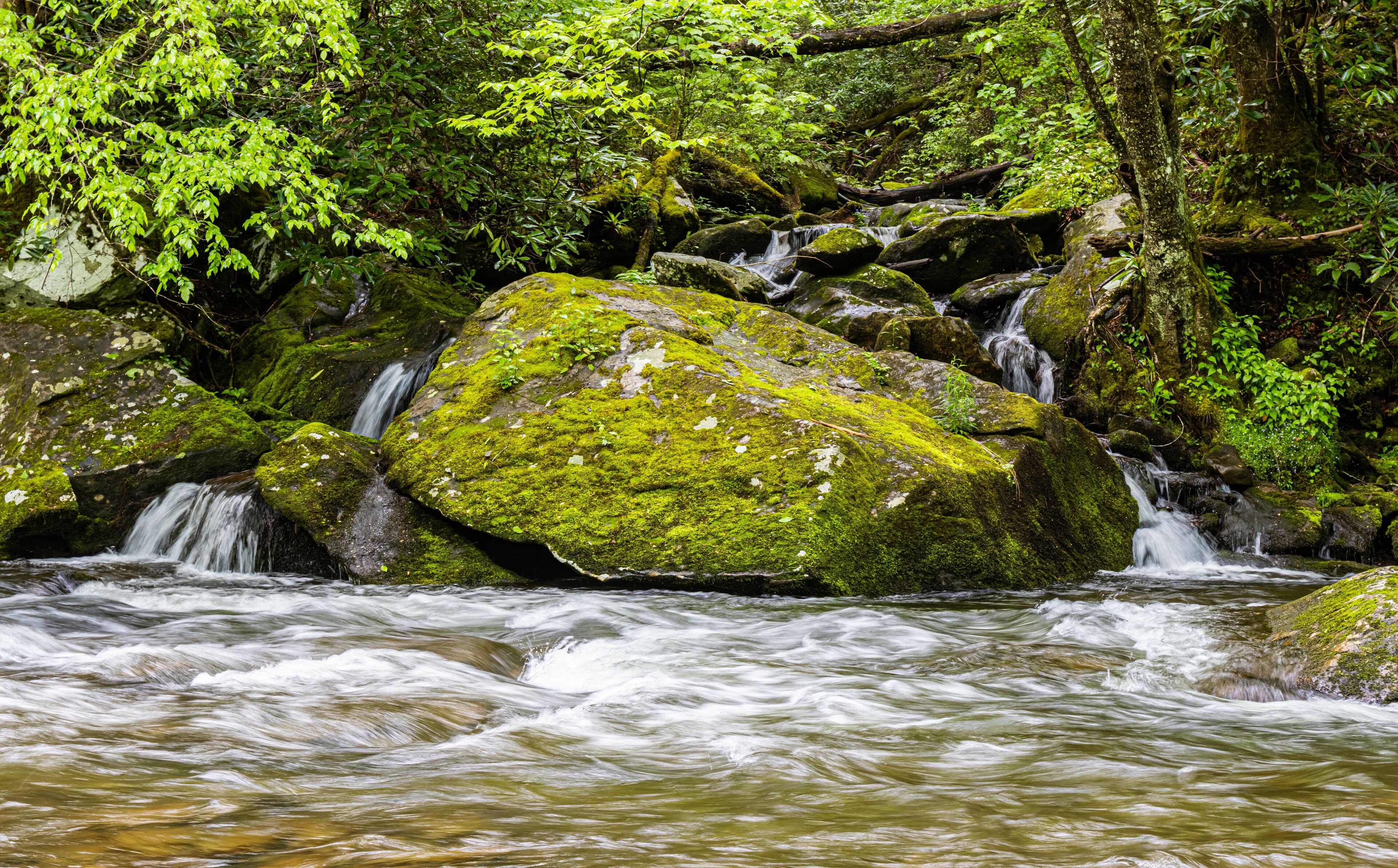 Mannis Branch Falls Across The Little River, Great Smoky Mountains National Park, Tennessee, USA