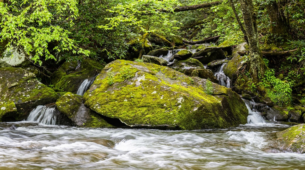Mannis Branch Falls Across The Little River, Great Smoky Mountains National Park, Tennessee, USA